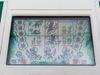 Nintendo: Green House , GR-54