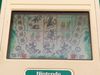 Nintendo: Green House , GR-54